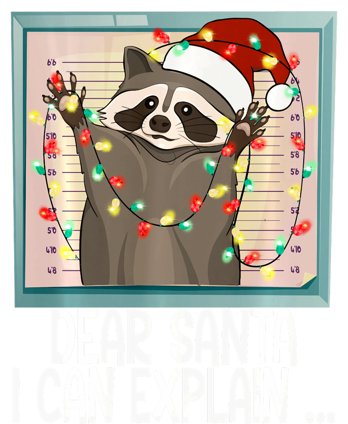 Dear Santa I Can Explain Funny Raccoon Santa Hat Christmas Short Acrylic Beanie