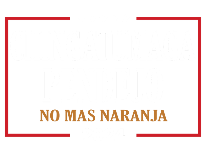 Chingatumaga No Mas Naranja 2024 Election T-Shirt