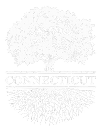 Connecticut Vintage Roots Outdoors Souvenir T-Shirt