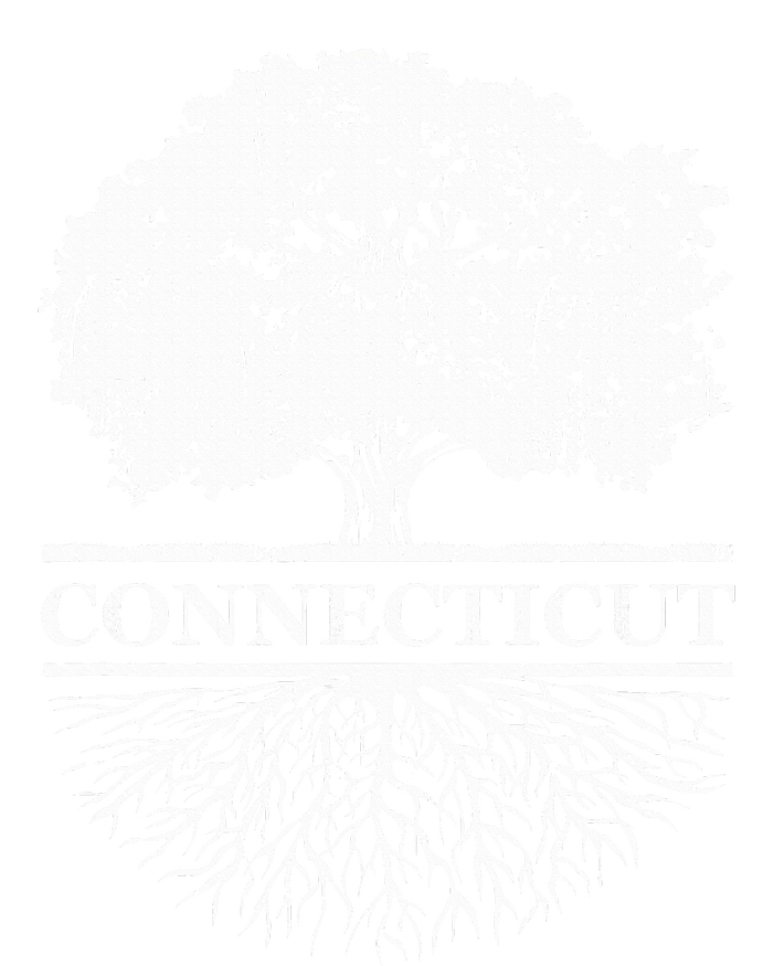 Connecticut Vintage Roots Outdoors Souvenir T-Shirt