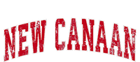 New Canaan Connecticut Ct Vintage Sports Design Red T-Shirt