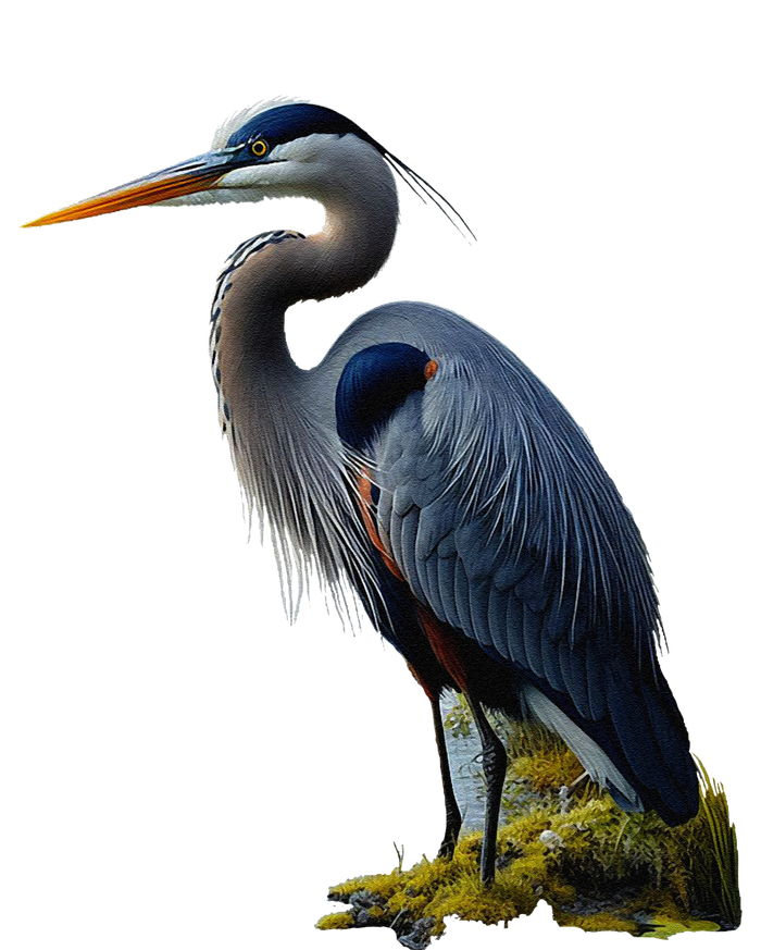 Great Blue Heron. ArtistS Rendition. T-Shirt