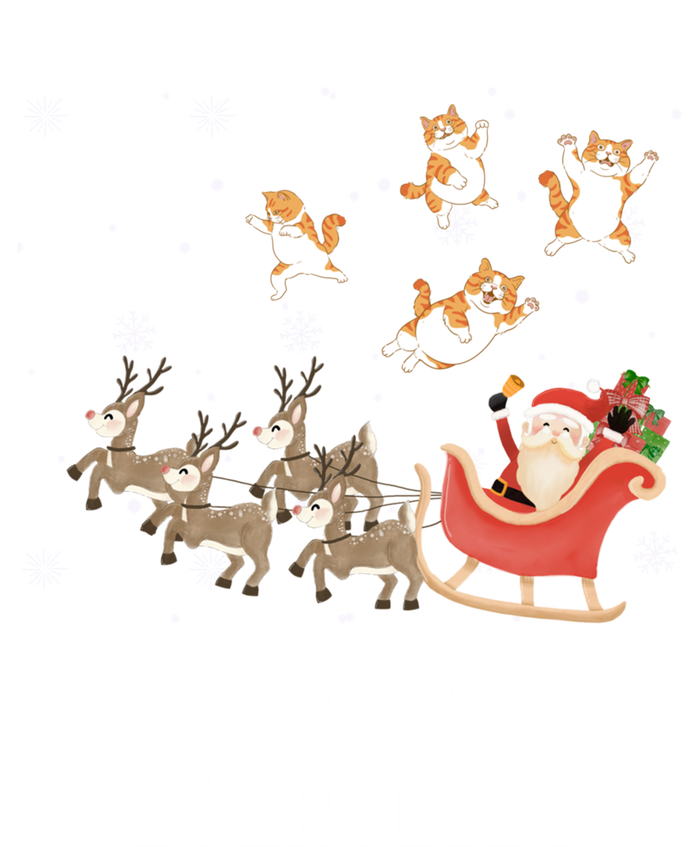 Cats For Everybody Xmas Christmas Funny Santa Gift T-Shirt