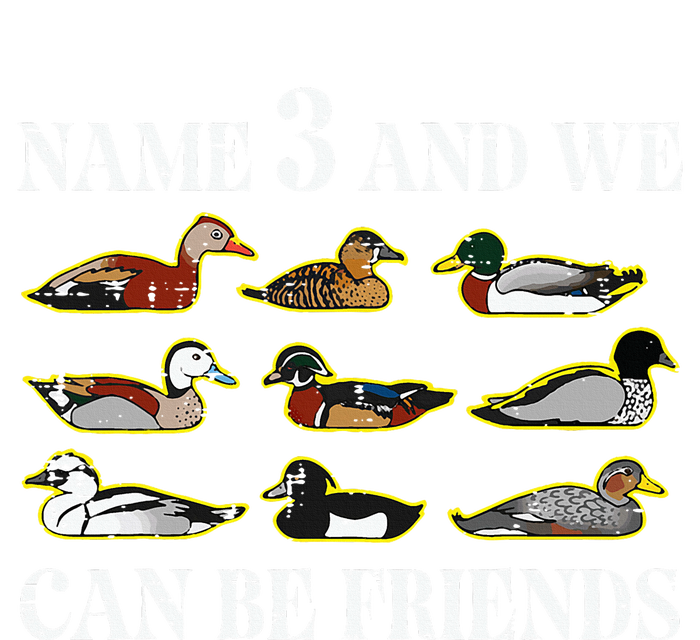 Duck Types Name 3 We Can Be Friends T-Shirt