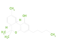 Cannabis Weed Pot Molecule Thc Marijuana Stoner Gift Striped Beanie with Solid Band