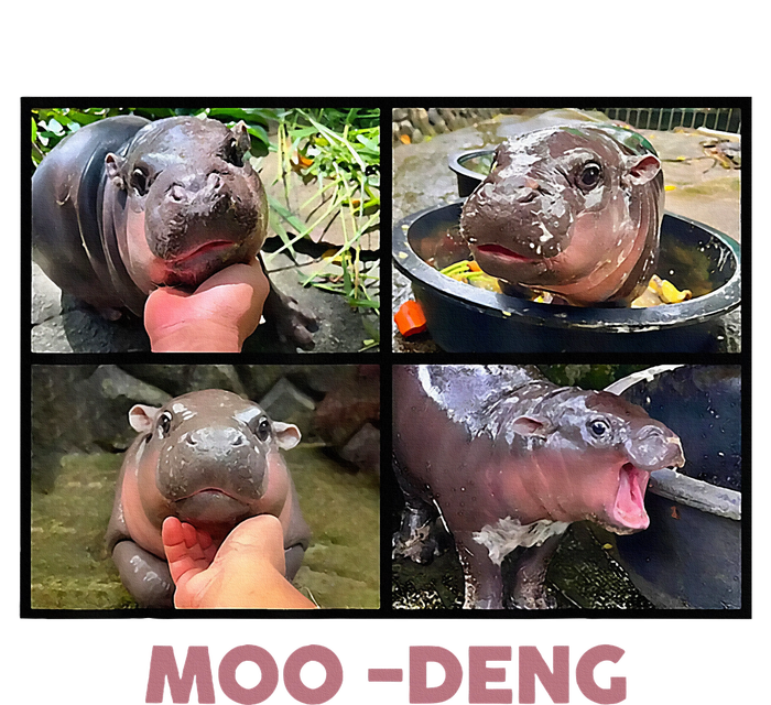 The Famous Baby Pigmy Hippo Moodeng Cool Comfort Performance Bucket Hat