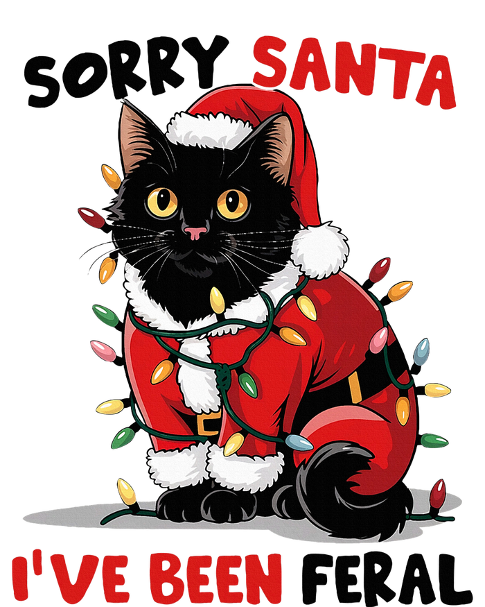 Sorry Santa IVe Been Feral Black Cat Christmas Funny T-Shirt