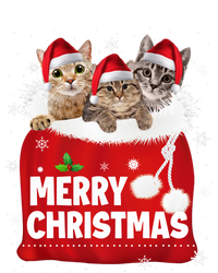 Merry Christmas Santa Cat Kitten In Xmas Santa Bag Christmas Long Sleeve Wool Snapback Cap