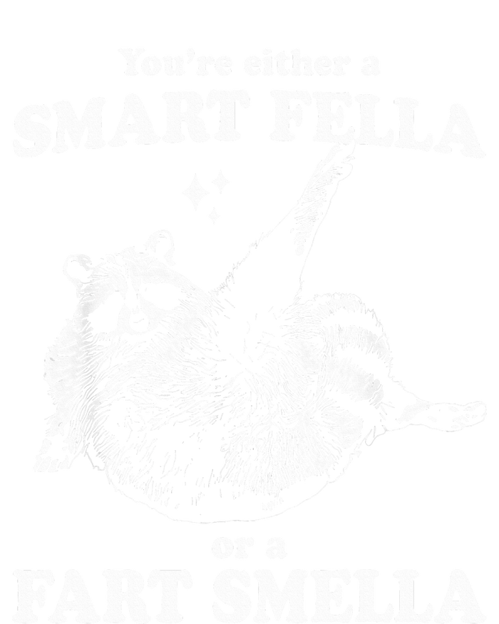 Raccoon YouRe Either A Smart Fella Or A Fart Smella V-Neck T-Shirt