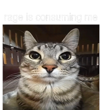 Rage Is Consuming Me Silly Staring Cat Meme Tall Hoodie