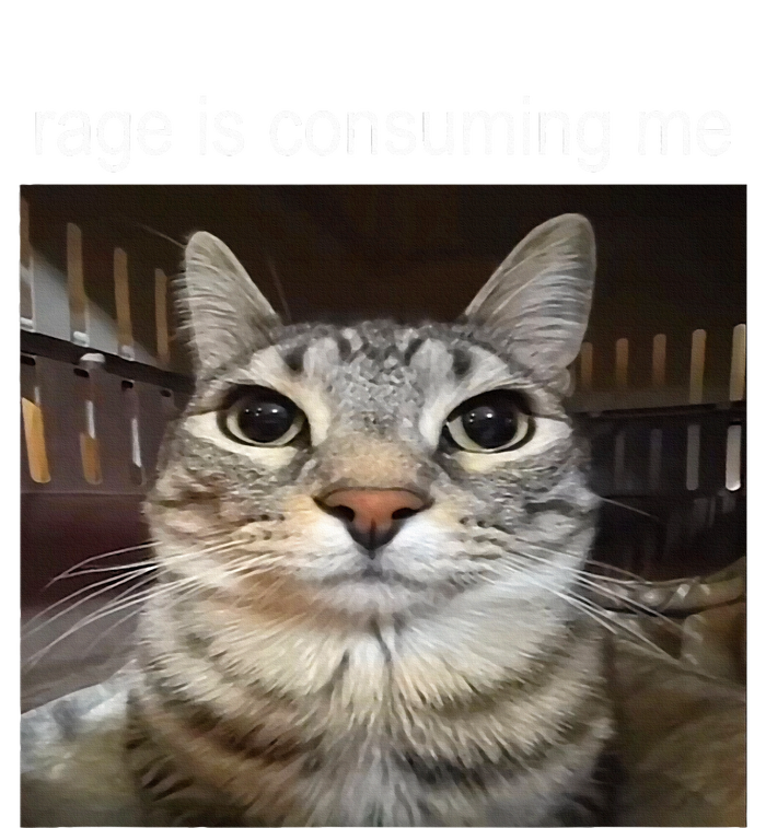 Rage Is Consuming Me Silly Staring Cat Meme Tall Hoodie