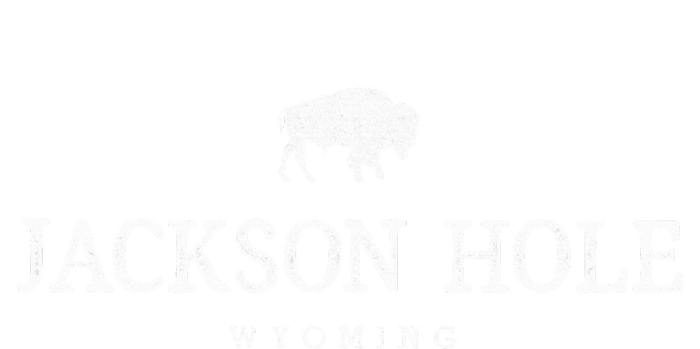 Retro Jackson Hole Wyoming Bison Buffalo Vintage T-Shirt