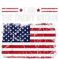 I Am The Enemy Within Funny Presidential Election 2024 T-Shirt