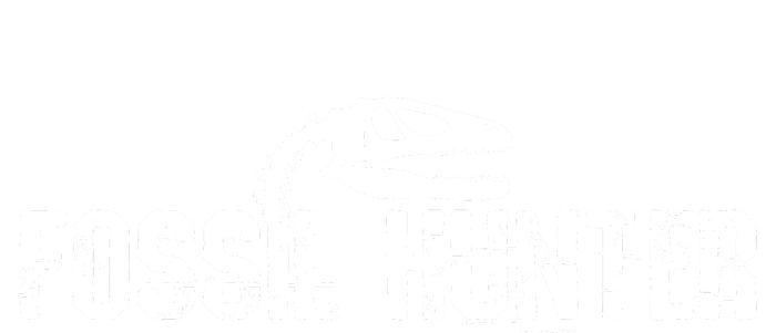 Fossilhunter Paleontology Gift Dino T-Shirt