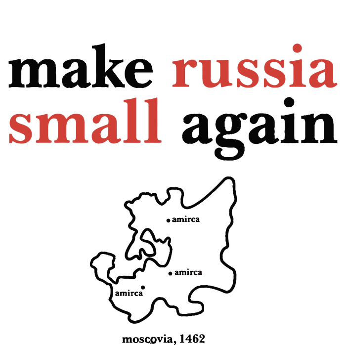 Make Russia Small Again Zelenskyy Trending Quote Annoyed The Kremlin Premium Hoodie