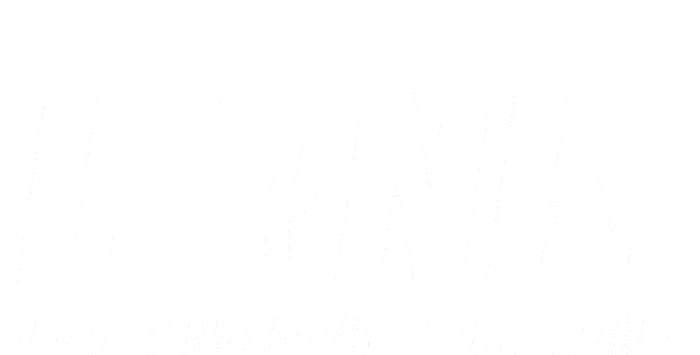 L.A.N.K. Lost At Nashville & Knoxville Toddler Hoodie