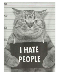 Cat Mugshot I Hate People Funny Gift Women's V-Neck T-Shirt