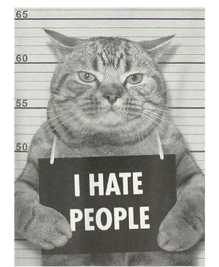 Cat Mugshot I Hate People Funny Gift Women's V-Neck T-Shirt