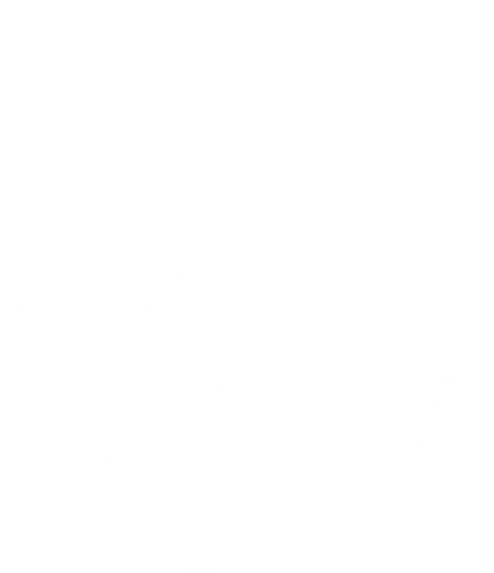 Happy Friends Giving Funny Thanksgiving Turkey Gift Meaningful Gift T-Shirt