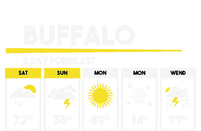 Buffalo 5 Days Forecast Womens Funnel Neck Pullover Hood