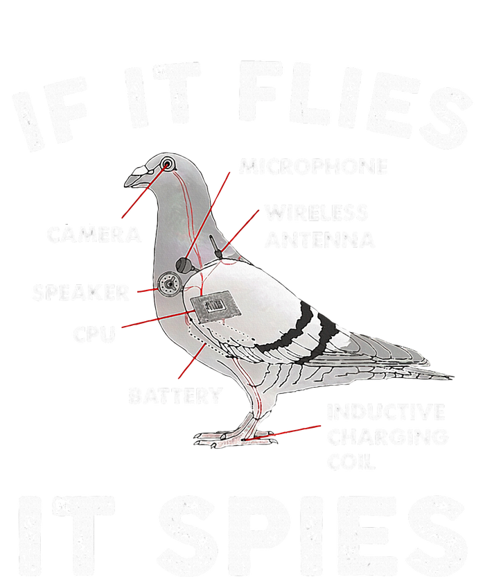 Pigeon If It Flies Spies Pigeon Anatomy Theory Bird Lover Premium Hoodie