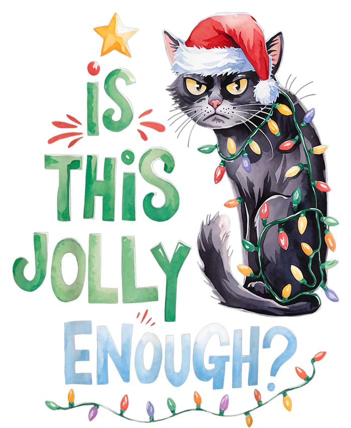 Merry Christmas 2024 Is This Jolly Enough Noel Black Cat Xmas Gift Ladies Long Sleeve Shirt