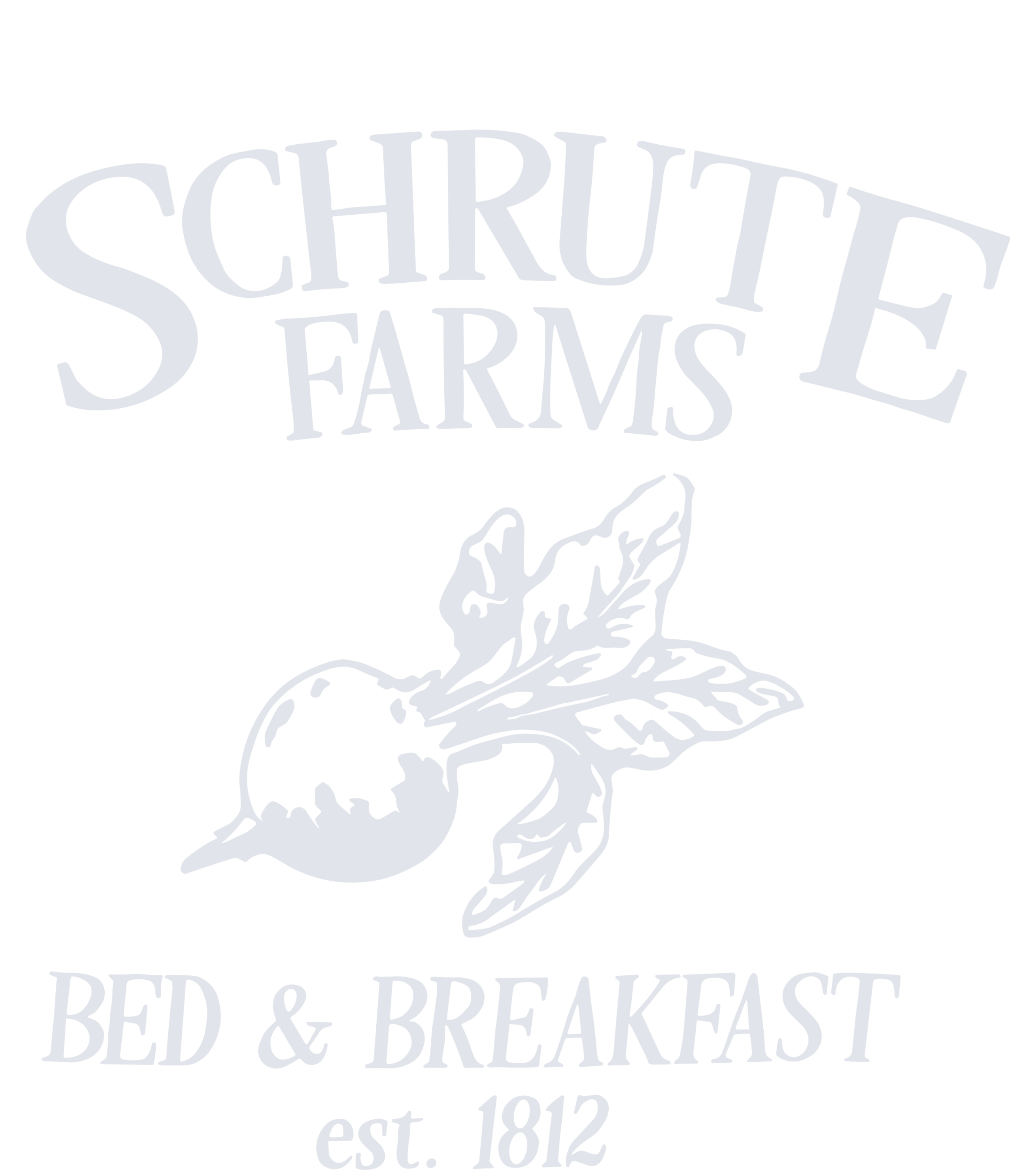 Schrute Farms Women’s Perfect Tri Rocker Tank