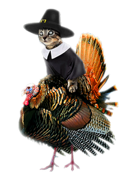 Thanksgiving Cat Pilgrim Costume Thanksgiving Turkey Gift Women's Pullover Hoodie