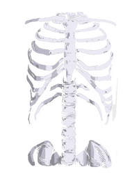 Skeleton Rib Cage T-Shirt