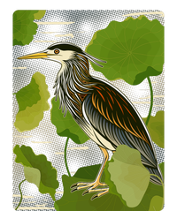 Vintage Retro Green Heron Bird T-Shirt