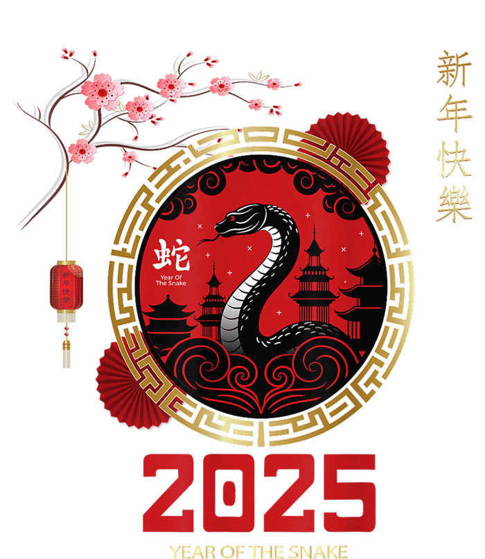 Lunar New Year Chinese New Year 2025 Year Of The Snake 2025 Gift Kids T-Shirt