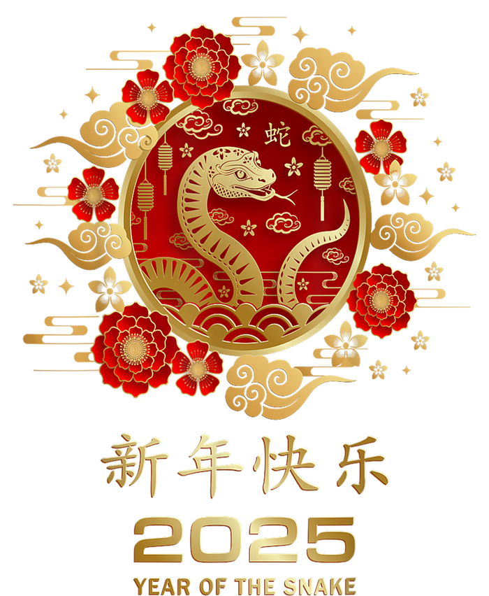 Lunar New Year Year Of The Snake 2025 Chinese New Year 2025 Gift T-Shirt