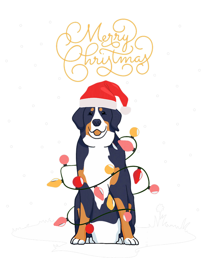 Bernese Mountain Dog Merry Christmas Berner Xmas Christmas Women's T-Shirt