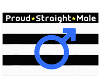 Straight Proud Heterosexual Male 7-Panel Snapback Hat