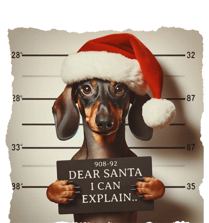 Funny Dachshund Christmas Dear Santa I Can Explain Weiner Gift T-Shirt