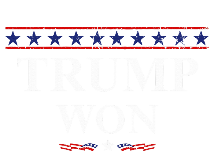 Donald Trump Won In The Election American Flag Trump 2024 T-Shirt