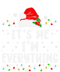 I Have Everything I Want For Christmas Its Me IM Everything Sustainable Beanie