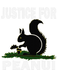 Justice For Peanut Pnut The Squirrel Hoodie