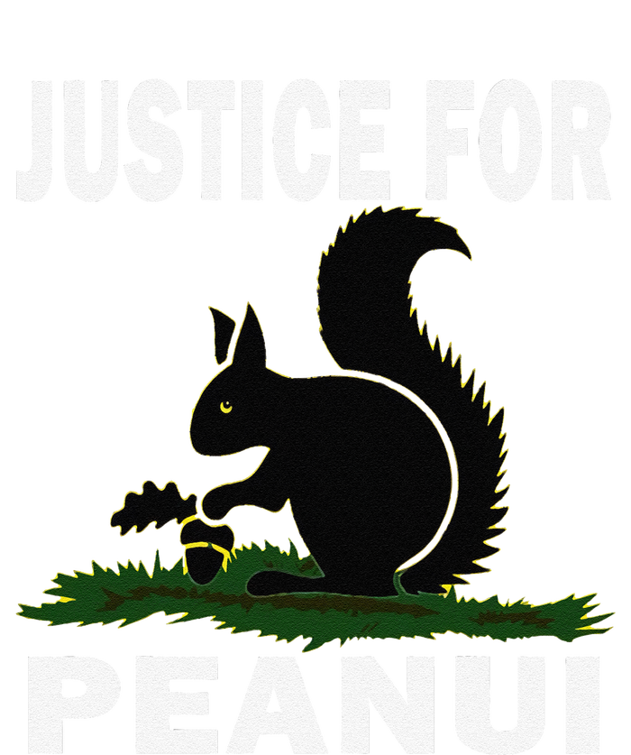 Justice For Peanut Pnut The Squirrel Hoodie