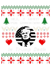 All I Want For Christmas Is Trump Back And New President Women's T-Shirt