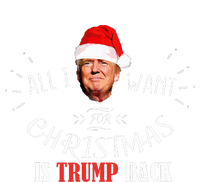 All I Want For Christmas Is Trump Back And New President T-Shirt