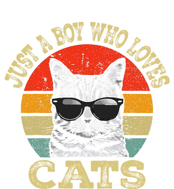 Just A Boy Who Loves Cats Boy Cat Lover Sweatshirt