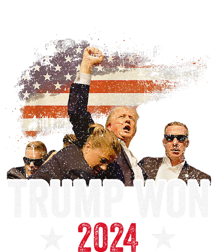 Trump Won Again 2024 Election President 47 Th American Flag Hoodie