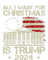 Trump Back 2024 All I Want For Christmas Is A New President T-Shirt