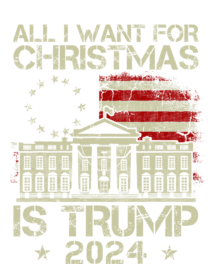 Trump Back 2024 All I Want For Christmas Is A New President T-Shirt