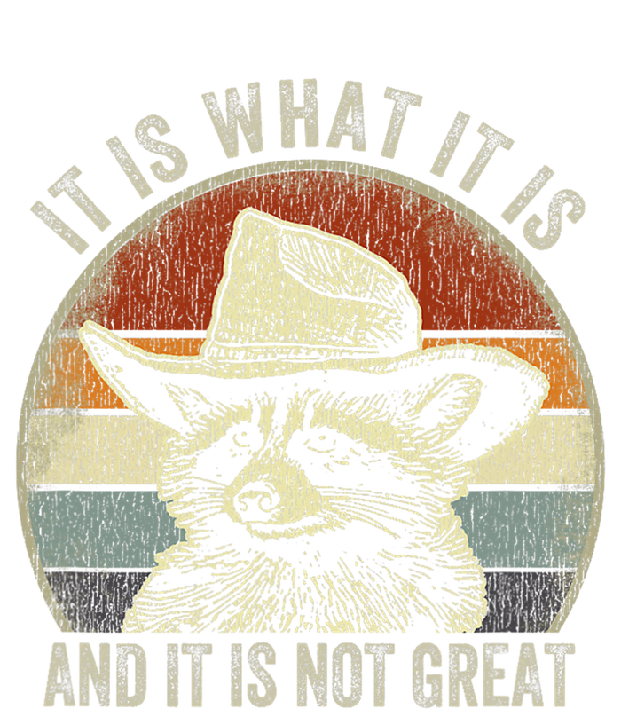 It Is What It Is And It Is Not Great Raccoon Trash Panda Magnet