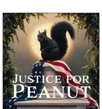 Justice For Peanut The Squirrel Peanut Squirrel Gift T-Shirt