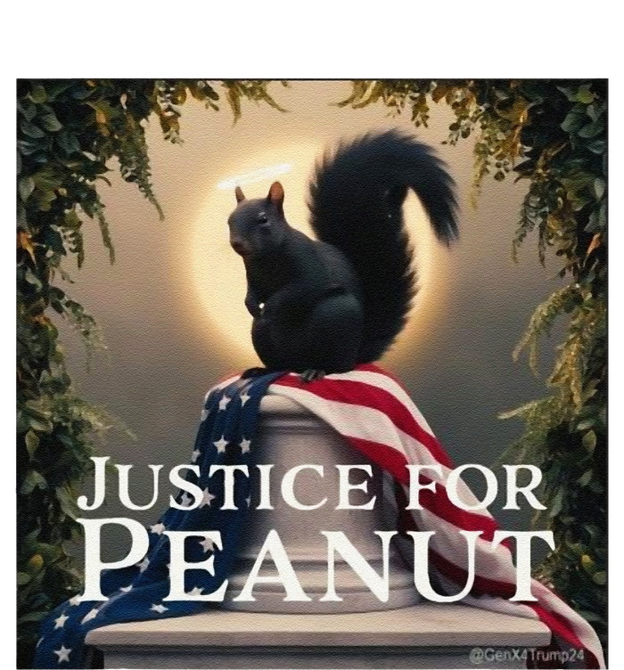 Justice For Peanut The Squirrel Peanut Squirrel Gift T-Shirt