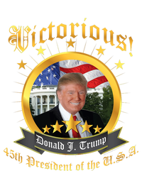 Victorious Donald J Trump President Election Coaster