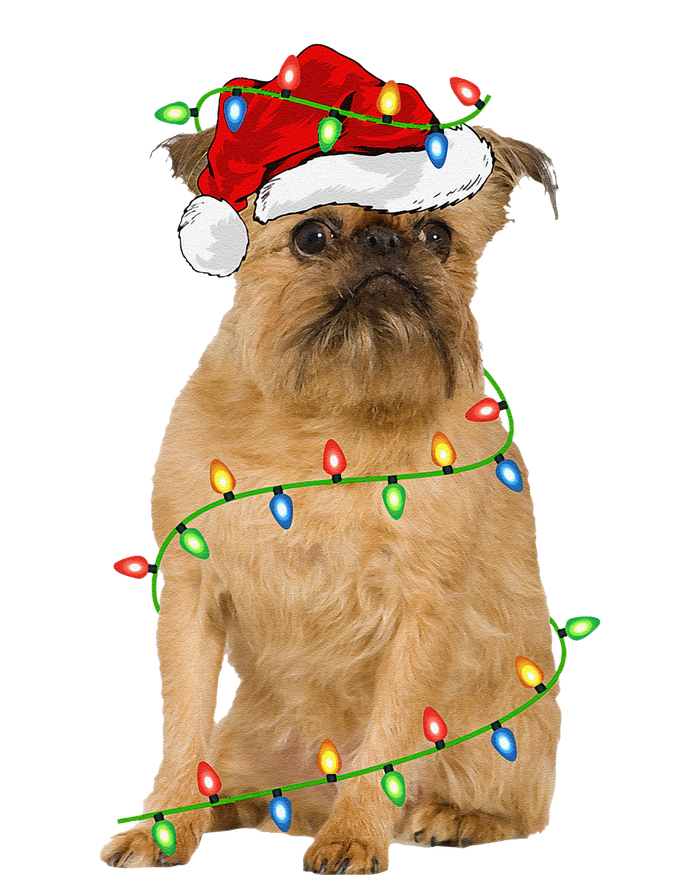 Xmas Lights Santa Hat Brussels Griffon Dog Christmas Sustainable Beanie